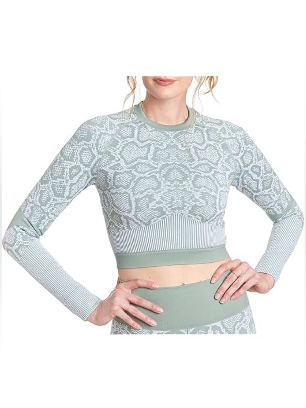 New! Mint Snake-Print Long Sleeve Crop Top